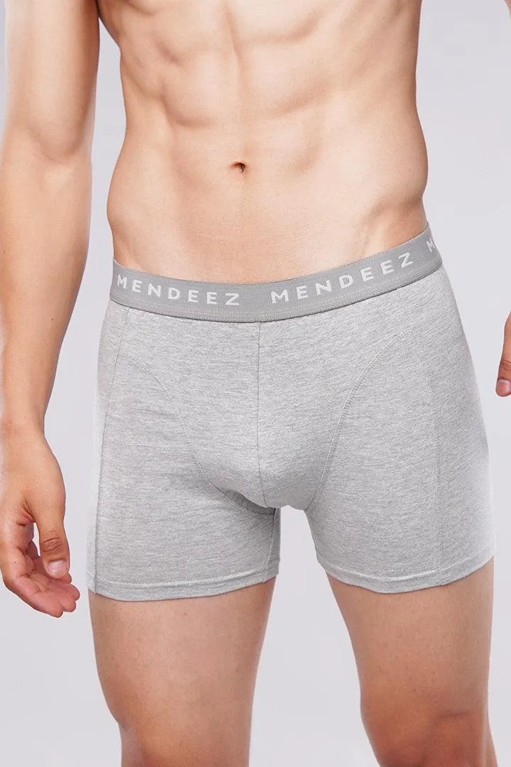 Ashy Grey Boxer Briefs