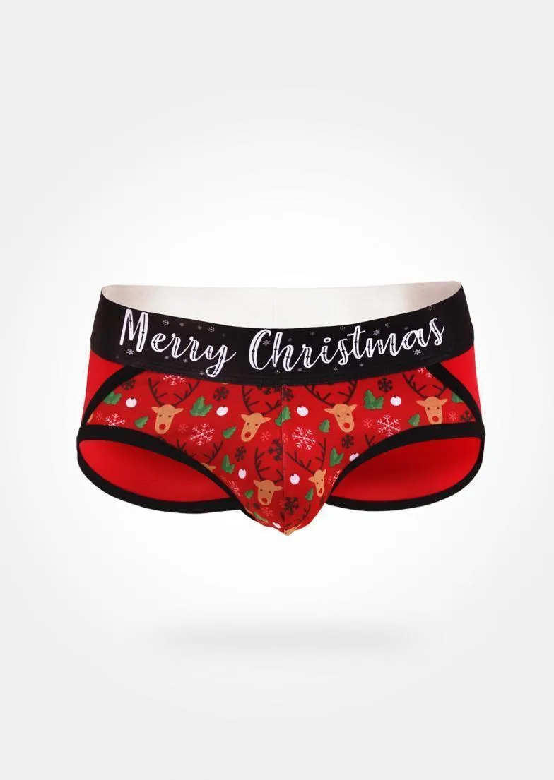 CHRISTMAS BRIEFS 19xms04s4